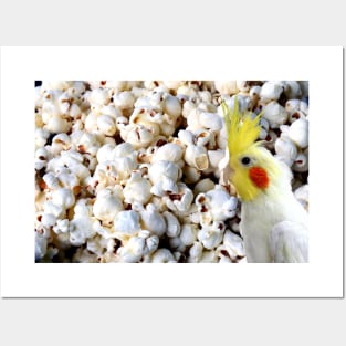 popcorn cockatiel Posters and Art